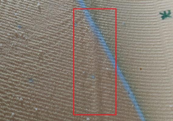 WhatsApp Image 2025-11-13 at 08.28.25.jpeg